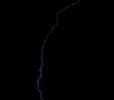 dog3.gif